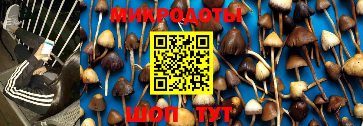 Псилоцибиновые грибы мицелий Северодвинск