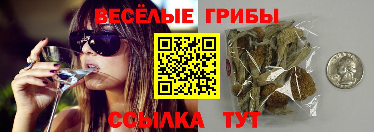 Псилоцибиновые грибы GOLDEN TEACHER  Вход с VPN  Псилоцибиновые грибы прущие грибы  Северодвинск 